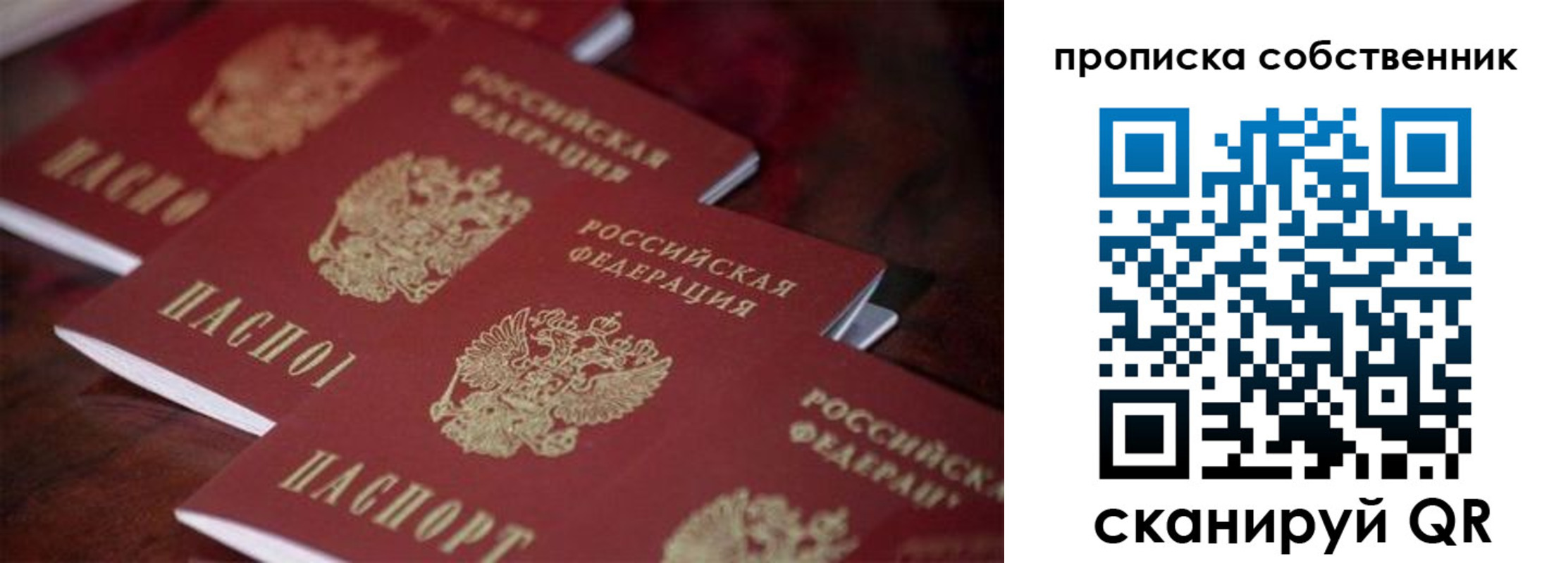 регистрация в Владимирской области